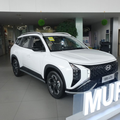2025 High Quality Used Hyundai Mufasa for Sale